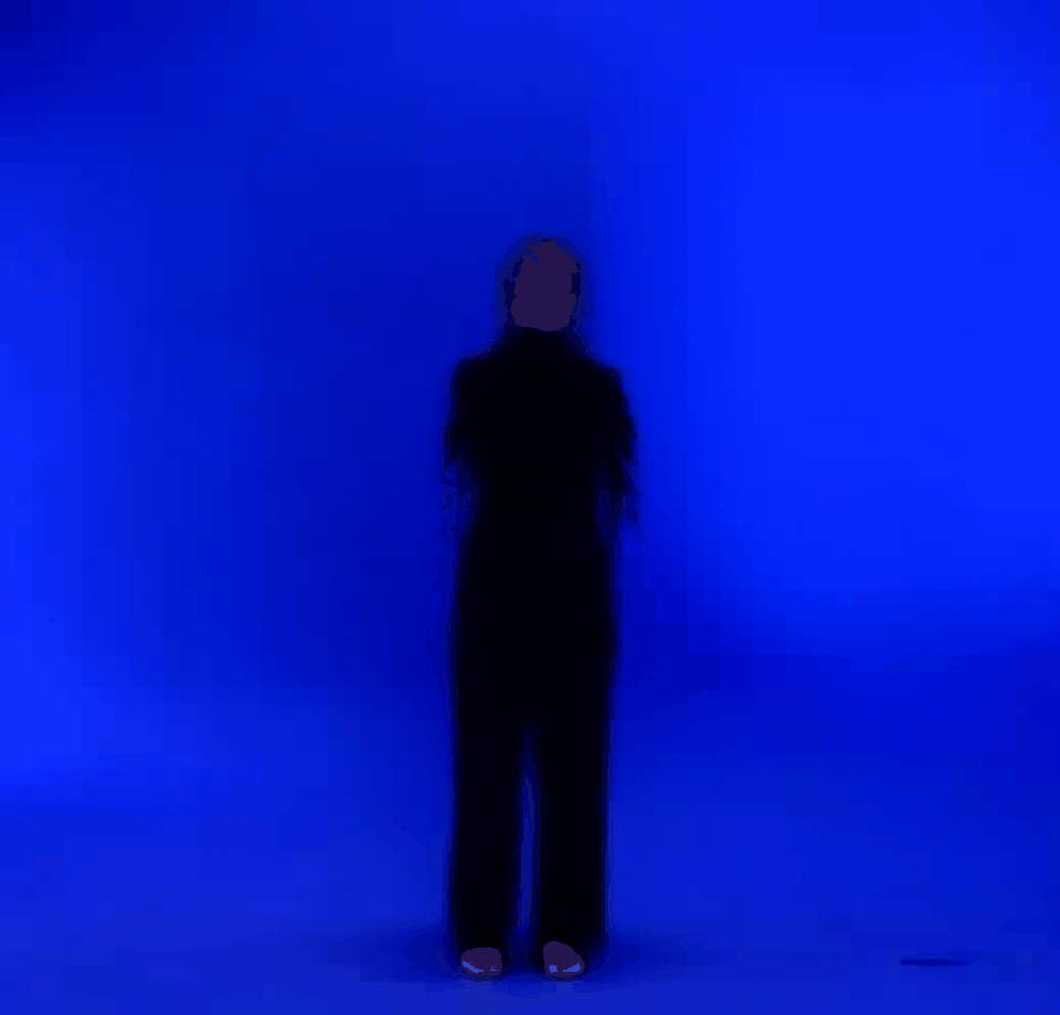 Animated multishot build-up of the bundled dancer example
