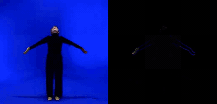 Input video beside its motion video