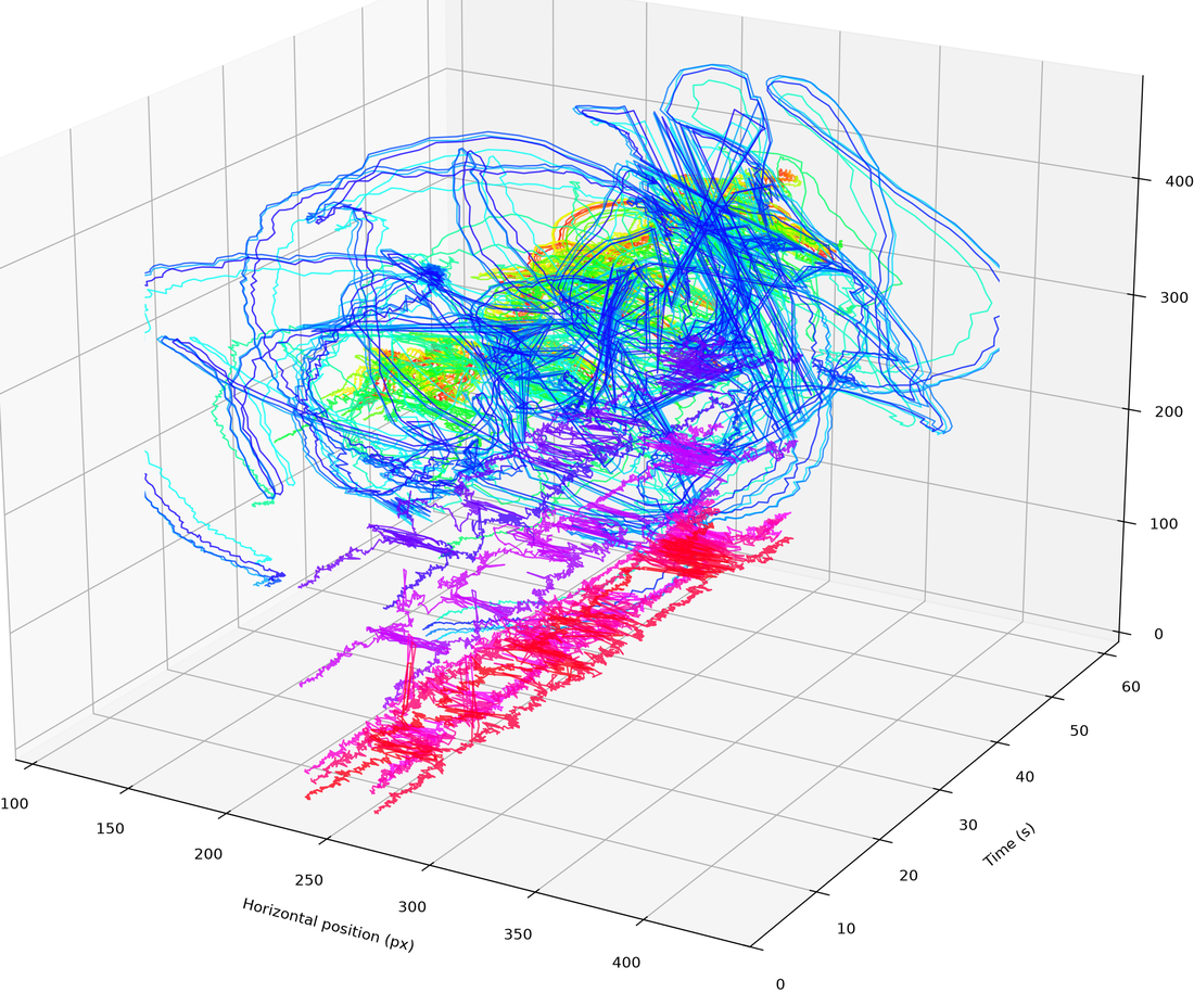Pose waterfall (trajectories) of dance.avi