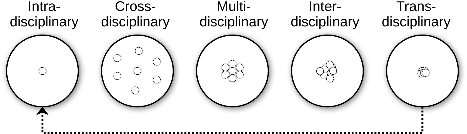 Five modes of disciplinarity: intra-, cross-, multi-, inter- and transdisciplinary