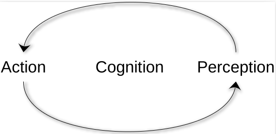 a circle between action and perception
