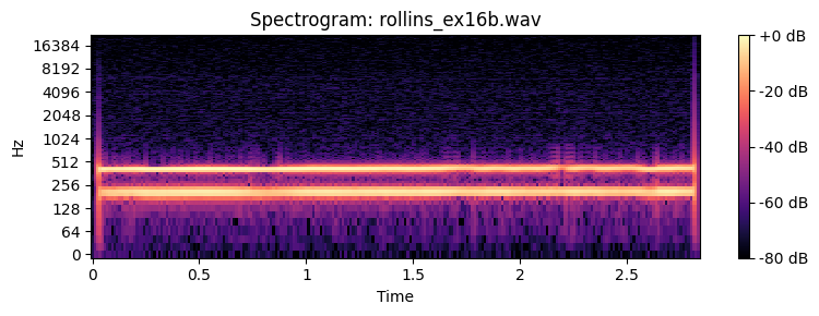 <Figure size 800x300 with 2 Axes>
